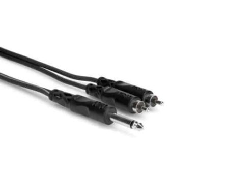 Y Cable, Single 1 4 in. TS to Dual RCA Male - 6 ft. Online