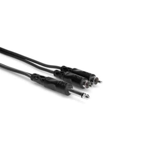 Y Cable, Single 1 4 in. TS to Dual RCA Male - 6 ft. Online